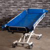 Astor-Bannerman Multicare Mobile Showering and Changing Table