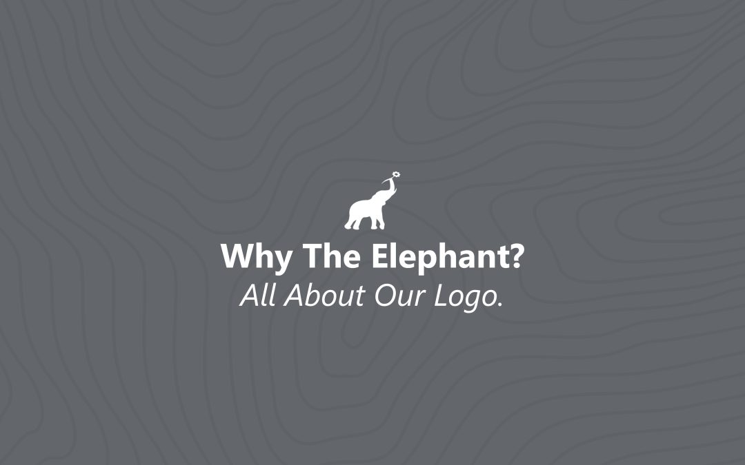 Why we use an Elephant in our logo