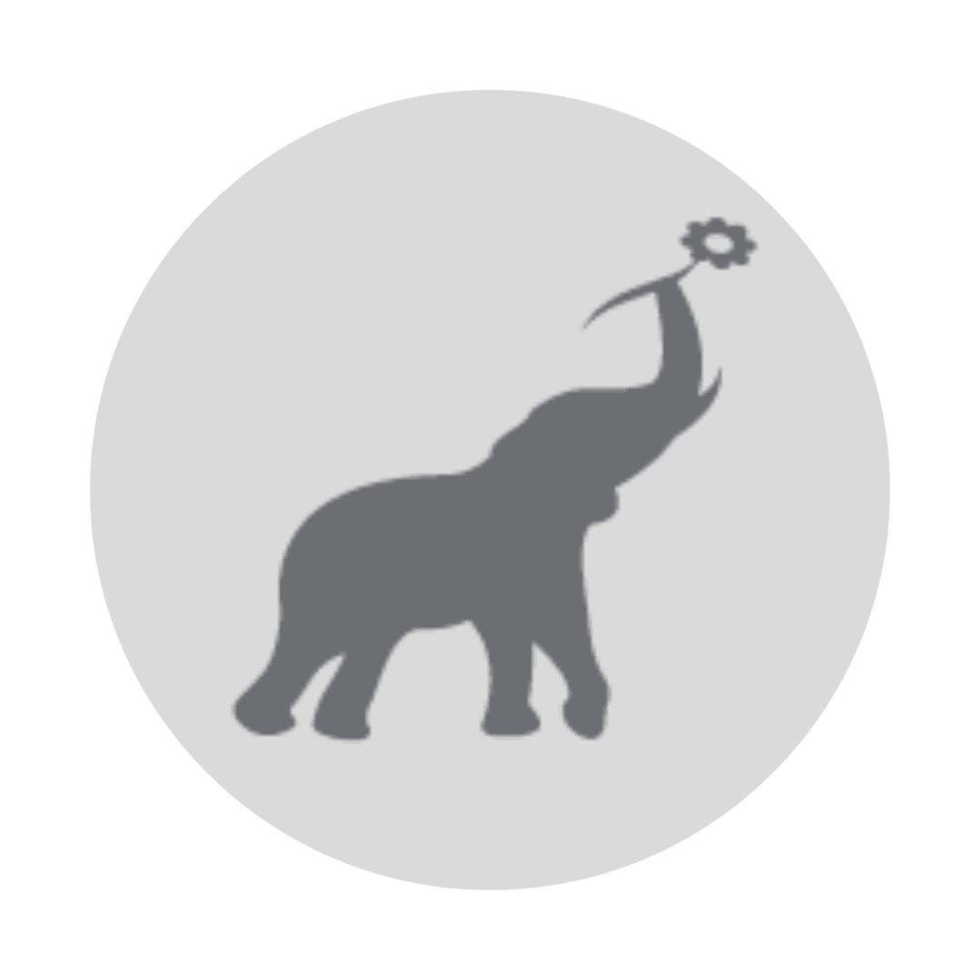 Elephant 2 (4)