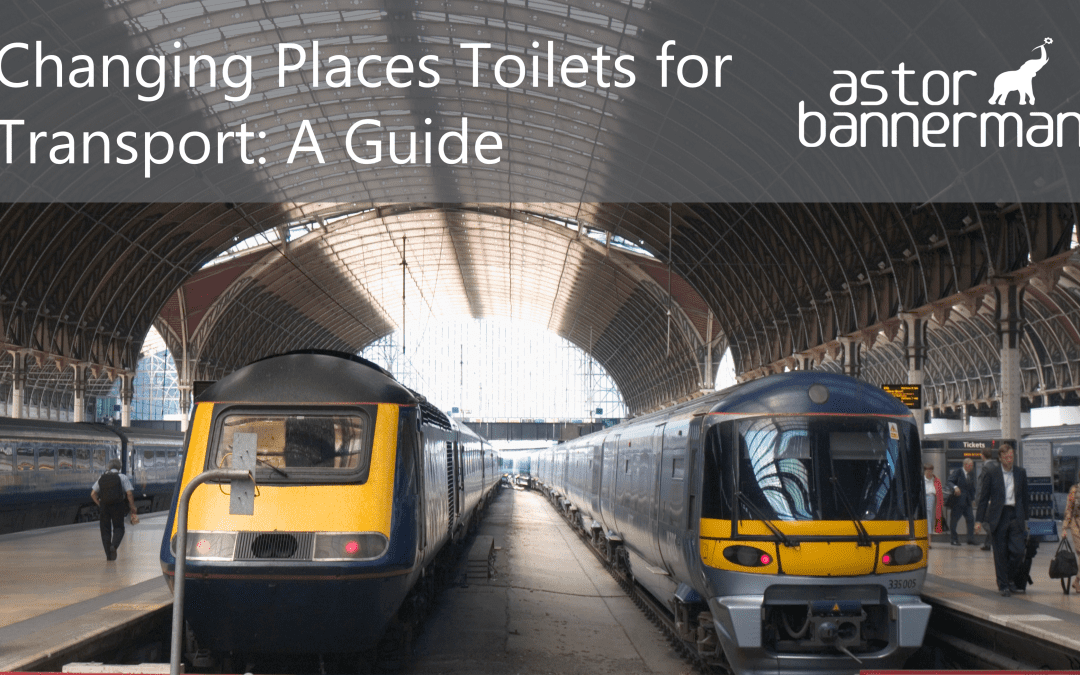Changing Places Toilets for Transport: A Guide