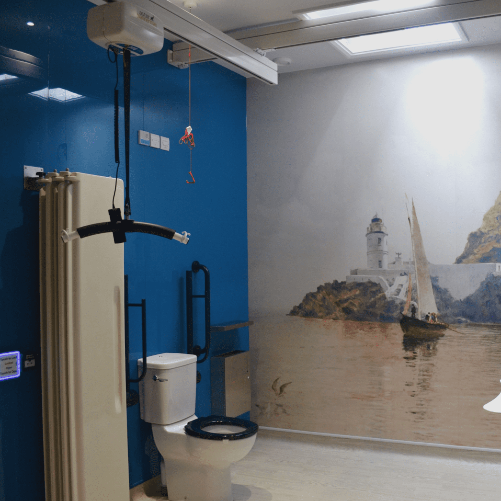 Hygiene Room In Schools Hoist