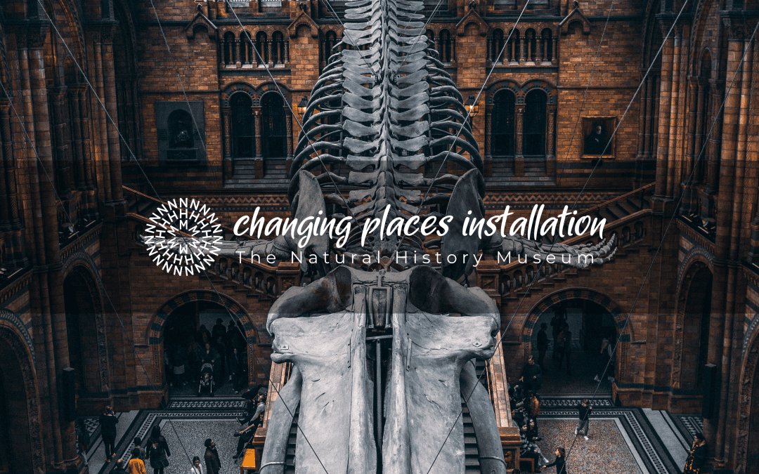 The Natural History Museum: Changing Places Toilet Install