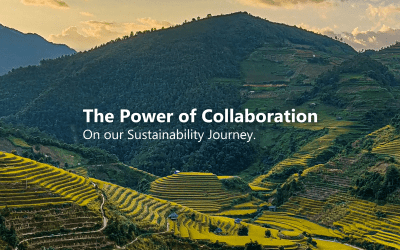 The Power of Collaboration on Our Sustainability Journey