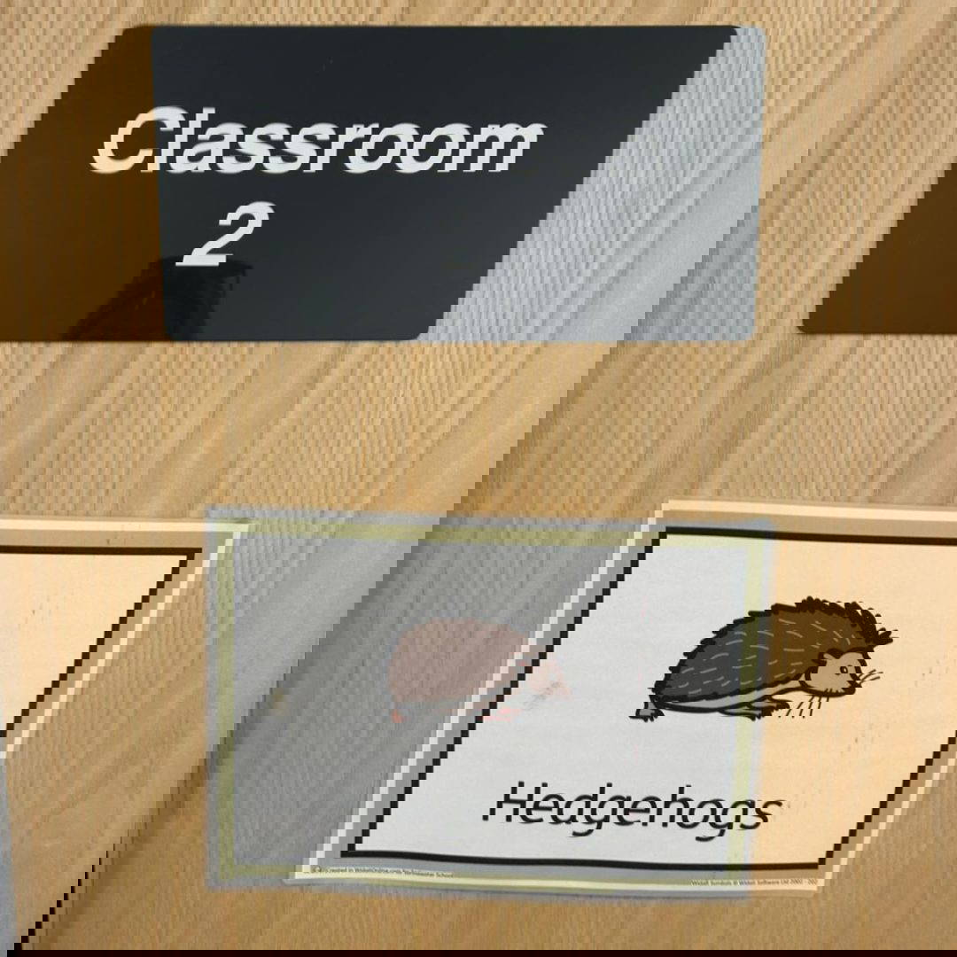 Springwater SEND School Classroom Hoists