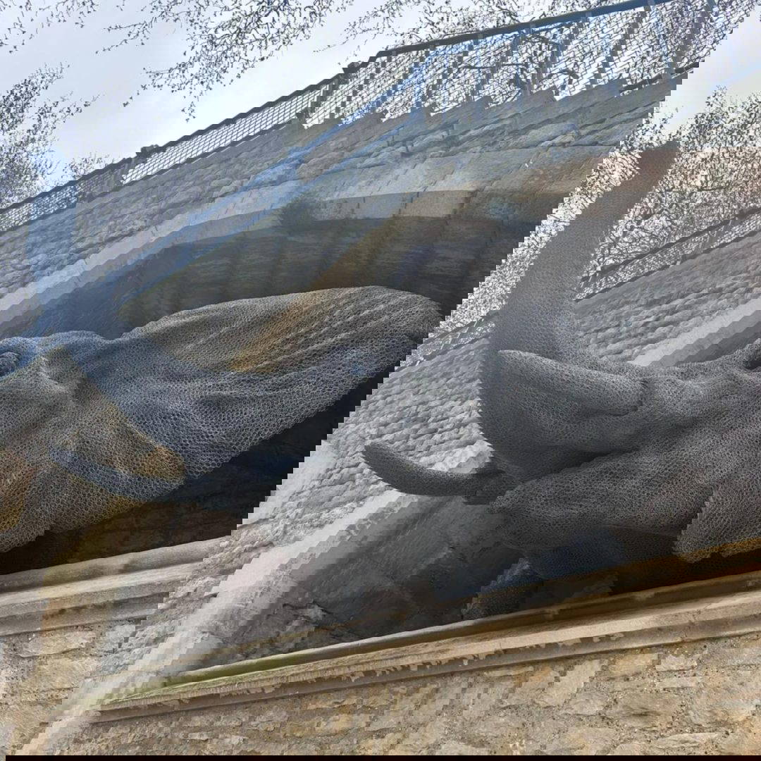 Tower Of London Accessibility Changing places toilet