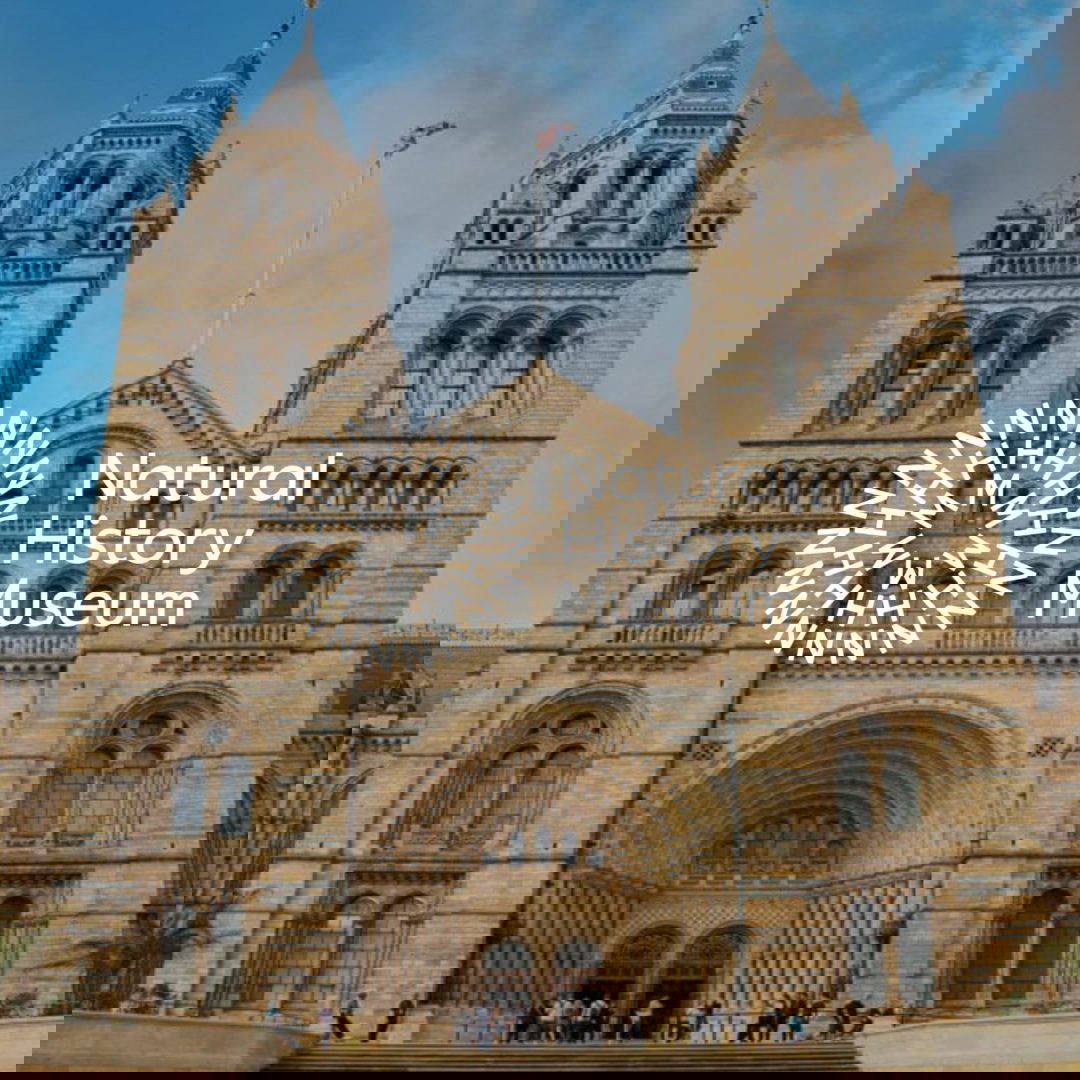 Changing Places Toilet At St Pauls Cathedral Accessibility