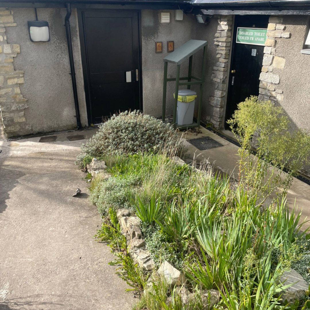 Changing Places Toilet: The Amelia Trust Farm