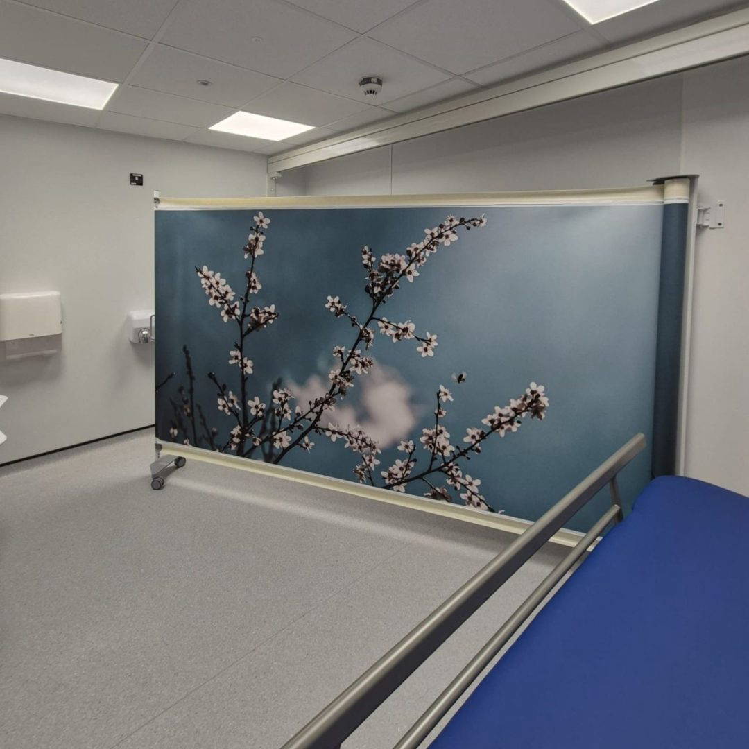 The Princess Royal Hospital Telford Changing Places Toilet