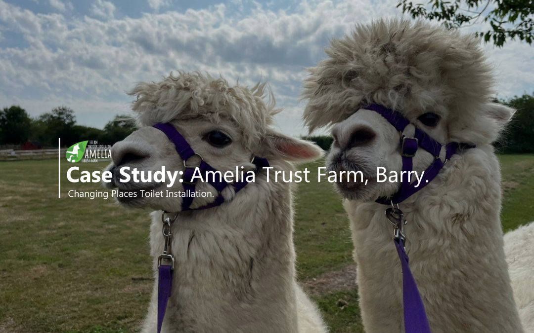 Changing Places Toilet: The Amelia Trust Farm