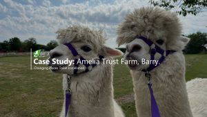 Changing Places Toilet: The Amelia Trust Farm