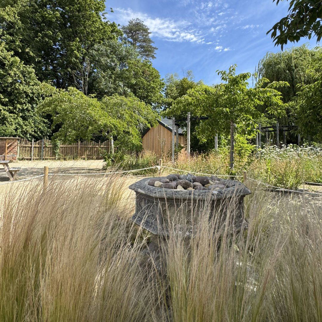Changing Places Toilet: Ron Cooke Hub, University of York