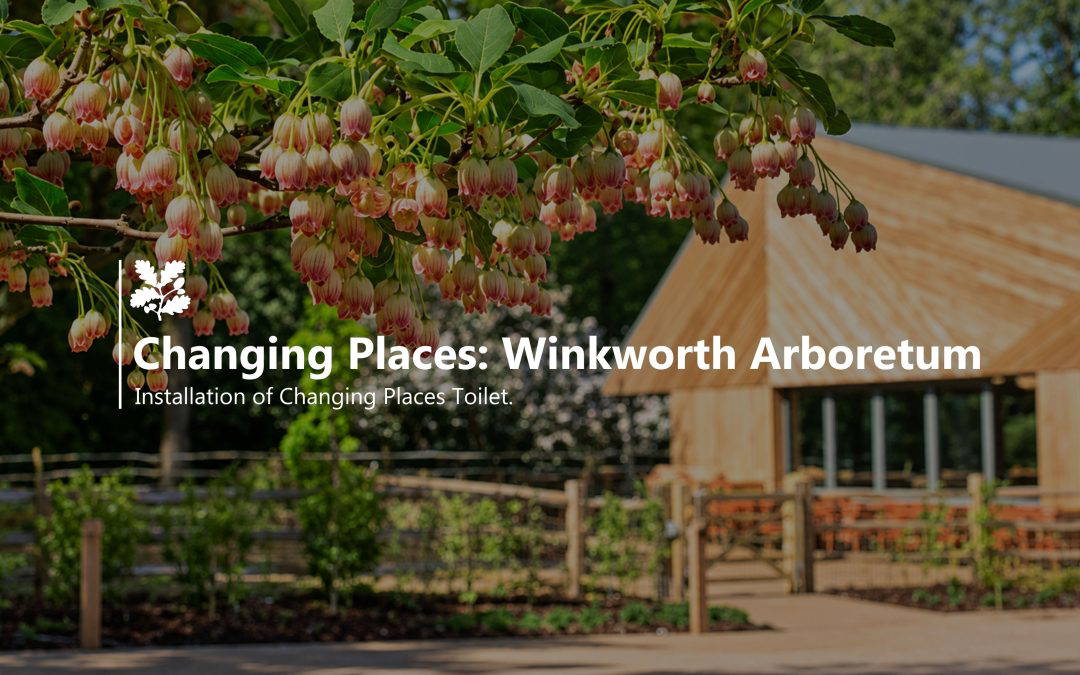Changing Places Toilet: Winkworth Arboretum
